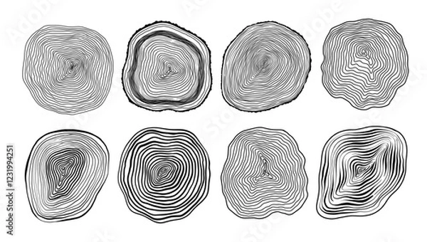 Fototapeta Set of linear tree stump prints isolated on white. Wooden silhouette. Wood texture with concentric rings. Black and white wooden annual rings textures. Tree ring pattern. Wood in cross section
