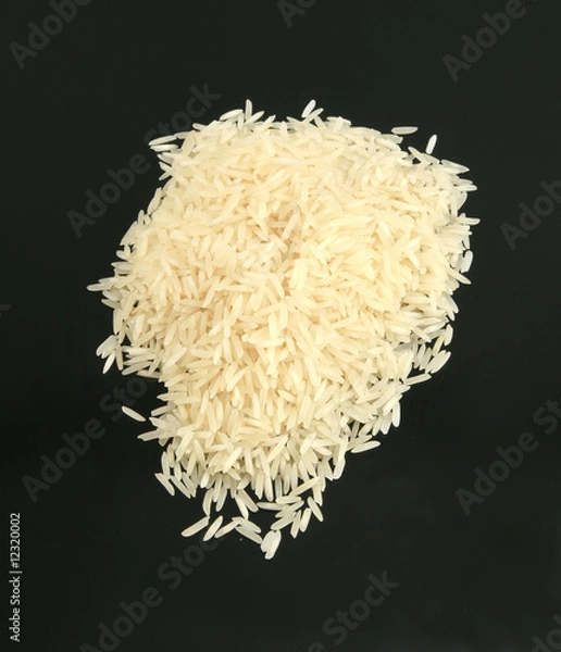 Fototapeta White ride on black back ground