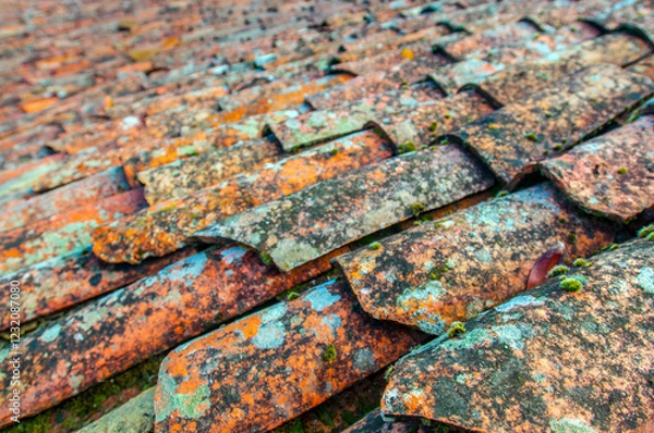 Obraz góis/portugal