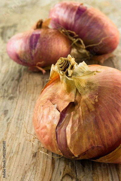 Obraz Cipolle fresche 