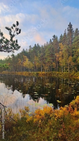 Obraz Hiking in the old Spruce Forests in Sweden and sleeping in old charcoal huts in "Kolarbyn" in the woods