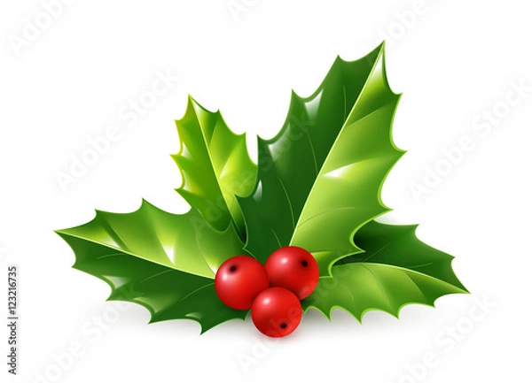 Obraz Wektor realistyczny holly Christmas ornament. Zielone liście i czerwone jagody na białym tle