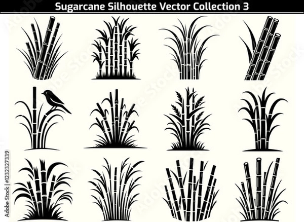 Fototapeta Set of Sugarcane Silhouette Vector Illustration	