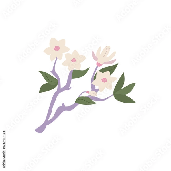 Fototapeta Magnolia flower branch. Floral vector flat illustration on isolated background