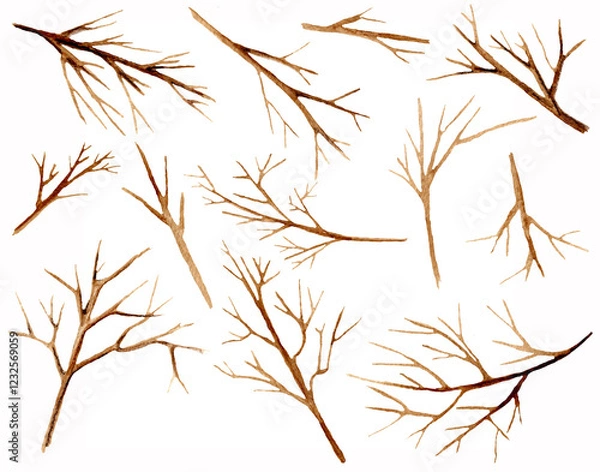 Fototapeta Collection of bare brown tree branches isolated on white background. Watercolor set.