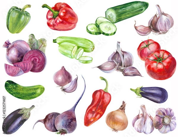 Fototapeta Watercolor vegetables on a white background. Tomatoes, cucumbers, zucchini, pepper, eggplant, onion, garlic, beetroot. Set. Vegetarian diet food with vitamins. Color illustration.