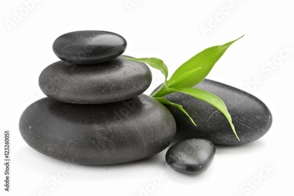 Obraz kamienie i bambus na białym tle
