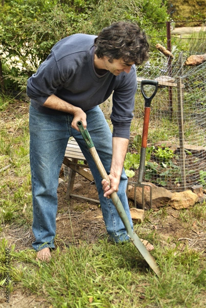 Obraz man in vegetable patch
