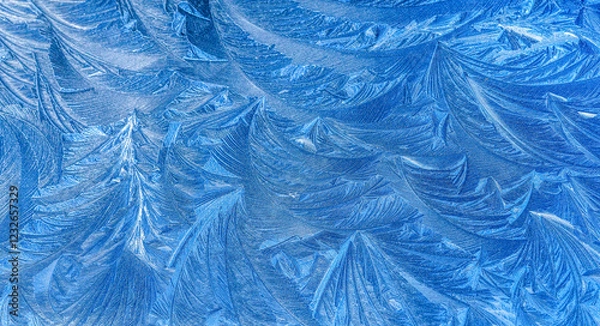 Fototapeta frost drawing close up
