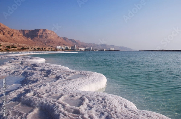 Obraz Dead Sea coast