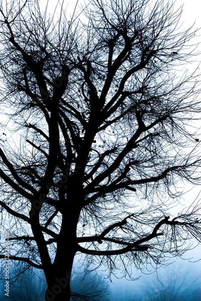 Obraz A tree as a rubbish dump