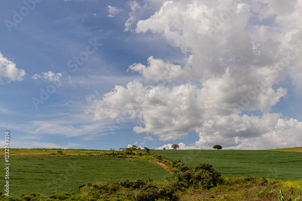 Obraz clouds over the field