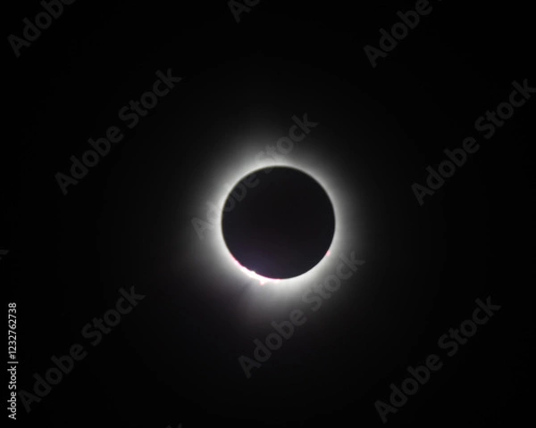 Obraz Solar Eclipse 2024 