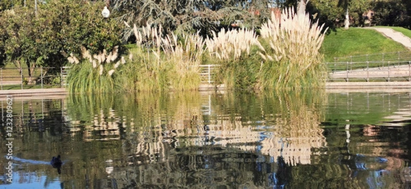 Obraz Calm lakeside view on a clear day with gentle ripples reflecting surrounding rocks and grassy shore