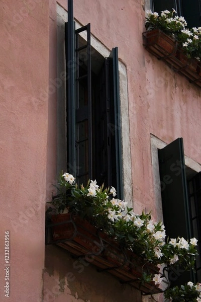 Obraz window with flowers