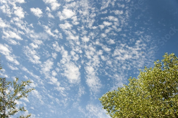 Obraz Scattered Clouds