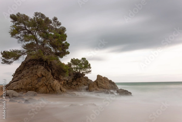 Fototapeta Seascape. The sea is foggy and is surrounding a large rock with a tree on top. The sky is cloudy, creating a melancholic atmosphere. The water is calm and there are several rocks.