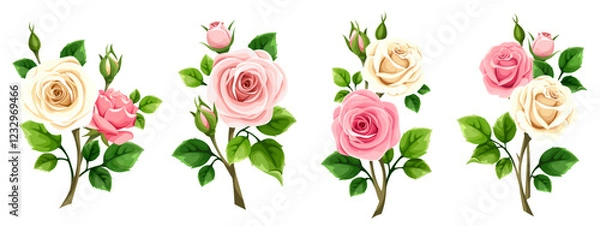 Fototapeta Roses branches. Pink and white rose flowers isolated on a white background. Set of vector design elements