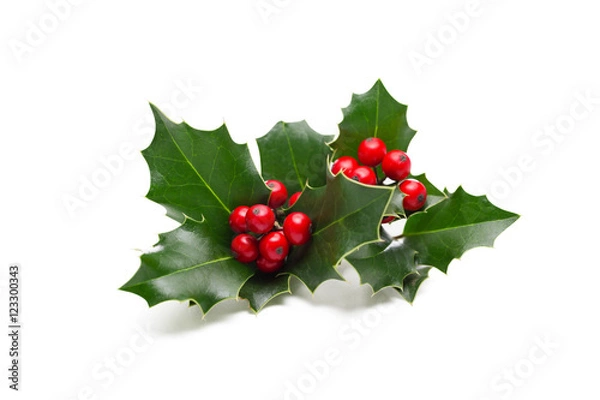 Obraz Boże Narodzenie Holly