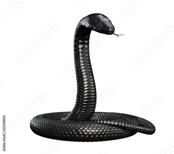 Obraz Black Snake isolated on White Background. 3D illustration