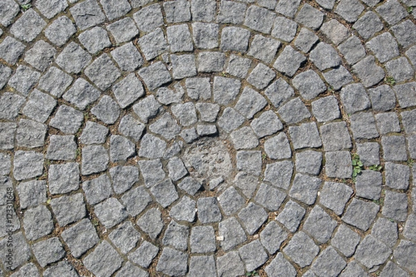 Fototapeta texture of the pavement and pavers