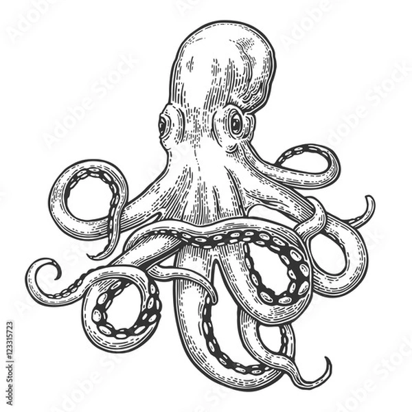 Obraz Octopus. Sea Monster