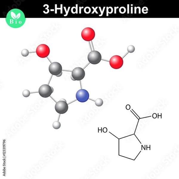 Fototapeta Hydroxyproline non essential heterocyclic amino acid
