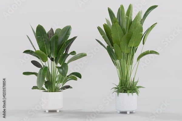 Fototapeta  Plant pots in various natural shapes on a white background 3d