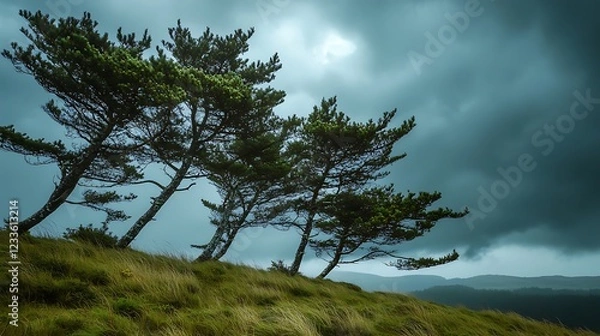 Fototapeta A dramatic landscape featuring wind-swept trees against a moody sky.