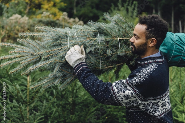 Obraz Young adult man choosing a christmas tree at the farm