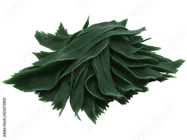 Fototapeta Wakame (Undaria pinnatifida) Seaweed used in soups, salads, and sushi, with a subtle, briny flavor. A staple in Japanese
