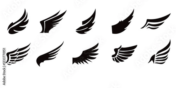 Obraz Wings Collections