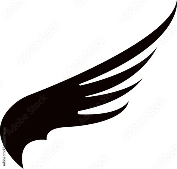 Obraz Wings Collections