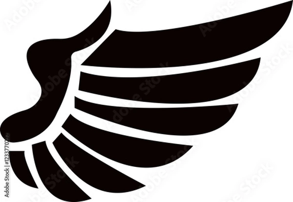 Obraz Wings Collections