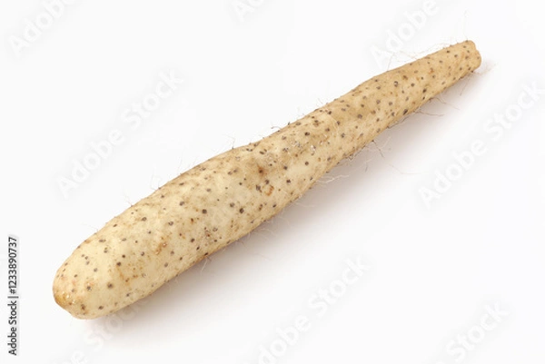 Obraz 白背景の長芋