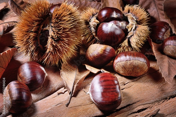 Fototapeta Chestnuts