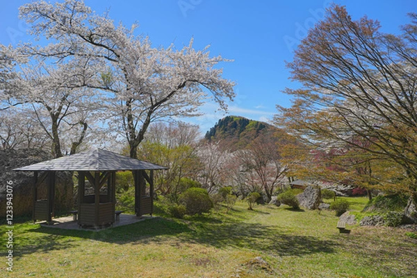 Obraz きみまち阪県立自然公園