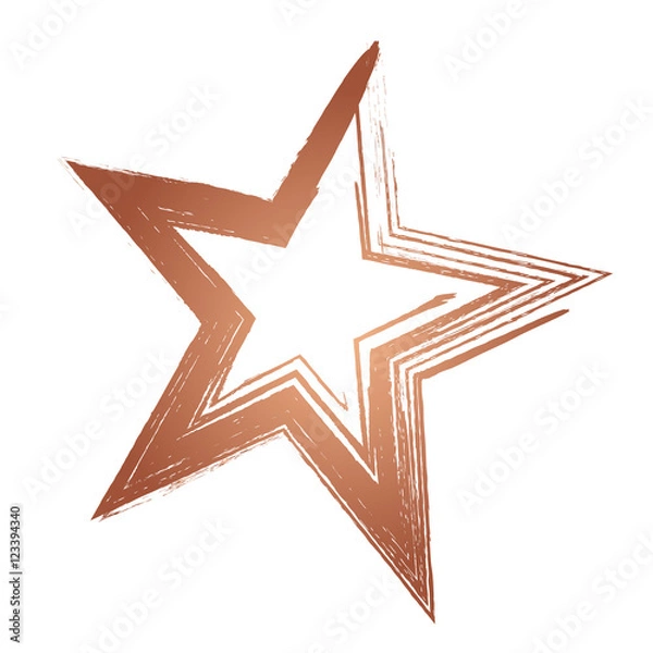 Obraz Weihnachtsstern Kupfer