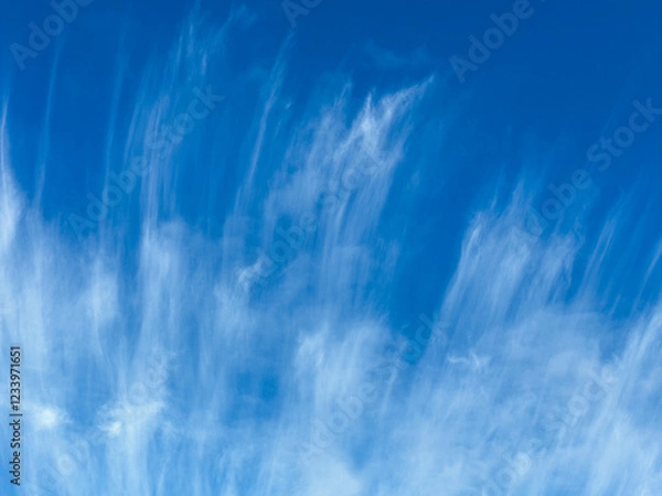Obraz Wispy Clouds Against Clear Blue Sky