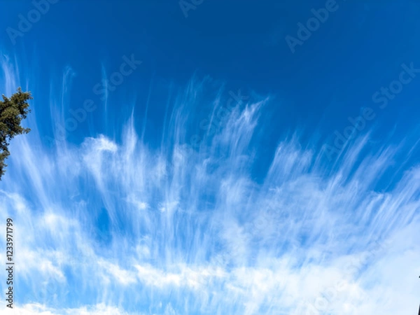 Obraz Wispy Clouds Against Clear Blue Sky