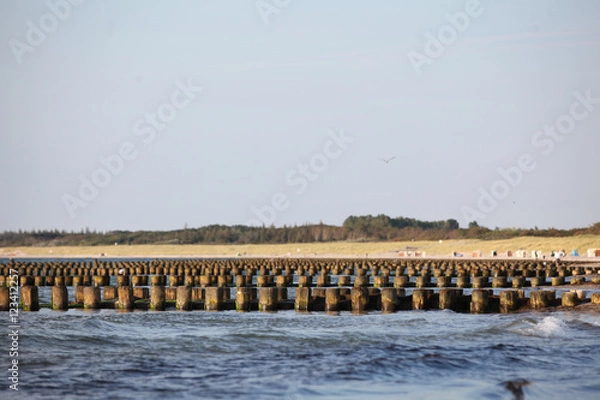 Obraz Ostsee Buhnen