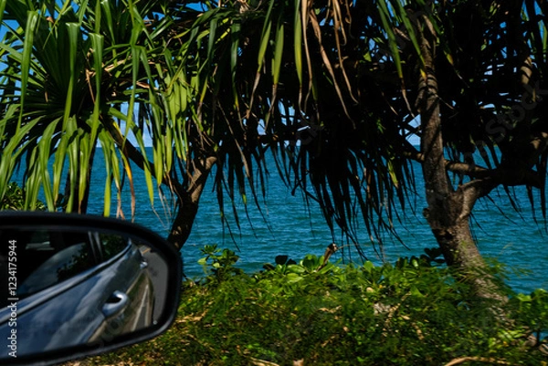 Fototapeta 海沿いのドライブとトロピカルな風景