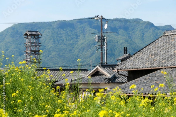 Fototapeta 日本の田舎風景と菜の花畑