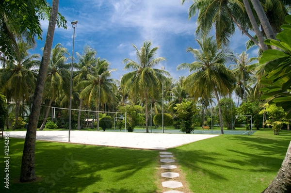 Obraz Tropical Sports