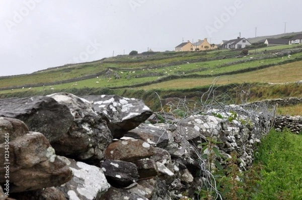 Fototapeta Irland, Halbinsel Dingle