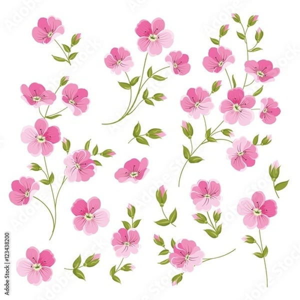 Fototapeta Set of Linen flowers elements. Collection of flower elements isolated on white background. Elegant spring flowers bundle. Vector illustration.