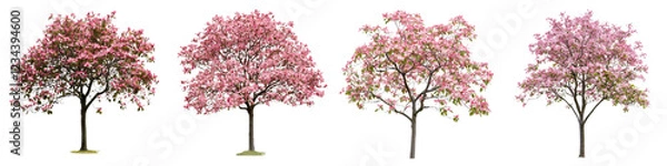 Obraz Beautiful flowering trees showcasing vibrant pink blossoms in a serene outdoor setting during springtime