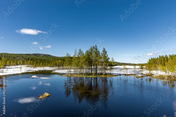 Obraz Auftauaender See in Schweden