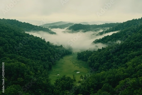 Fototapeta Misty Mountains Enveloping Lush Green Valley