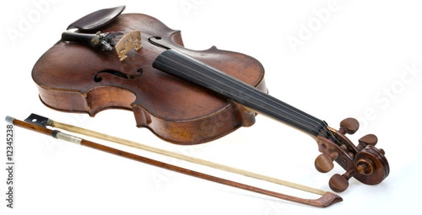 Obraz Old violin